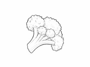 Цветная капуста раскраска