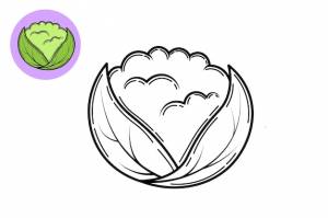 Книжка-раскраска цветная капуста