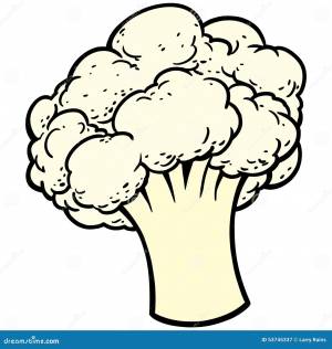 Цветная капуста иллюстрация вектора