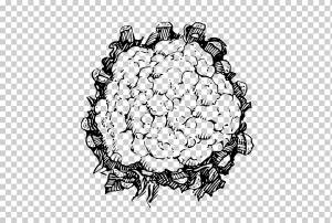 Штриховой рисунок Рисунок Цветная капуста, Цветная капуста, еда, монохромный, wikimedia Commons png