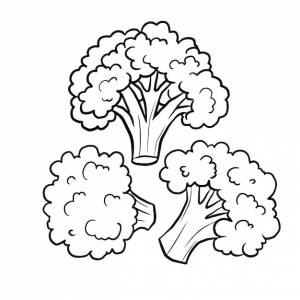 Цветная капуста овощи мультфильм милый каваи каракули раскраска рисунок иллюстрация клипарт