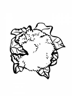 Картинка Цветная капуста  раскраску для мальчиков