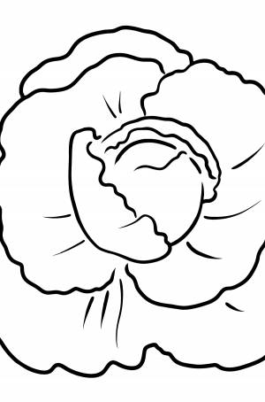 DataLife Engine > Версия для печати > Раскраска капуста