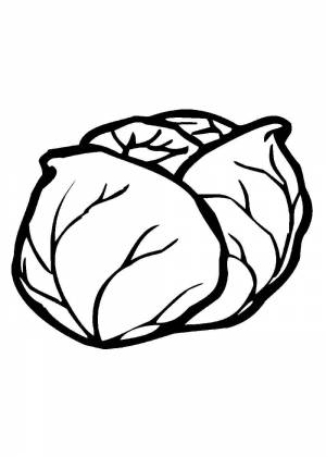 Раскраска капуста