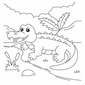 Раскраска крокодил для детей