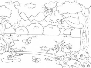 Лесная поляна с берегом реки векторная книжка-раскраска