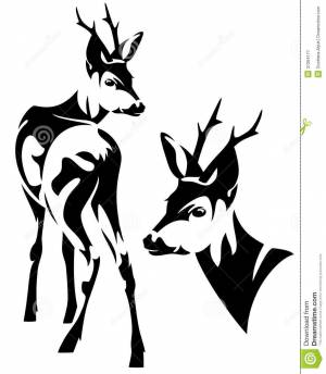 бегущая косуля косуля графика