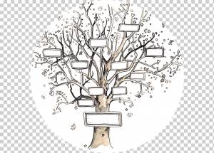 Генеалогическое древо Шаблон Родословная Предок, Семья, люди, фал, династия png