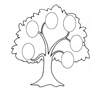 Семейное дерево раскраска шаблон