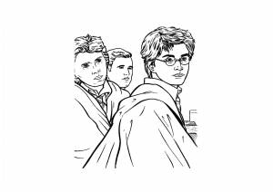 Спиральная раскраска гарри поттер