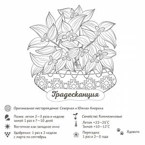 Раскраска-трекер