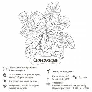 Раскраска-трекер