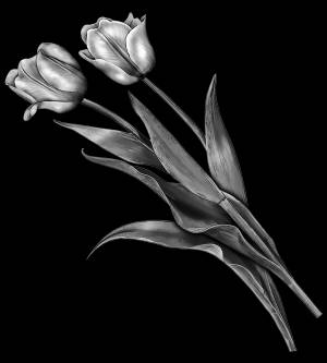 Пейзажи на памятник