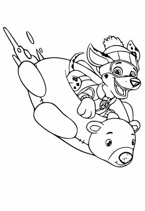 Раскраска Щенячий Патруль Медведь