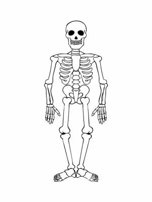 Skeleton coloring pages