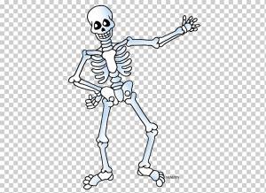 Скелет человека, Скелет, белый, рука, монохромный png