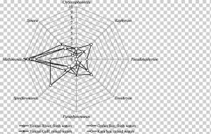 Рисунок Треугольник Крыша, треугольник, угол, белый, текст png