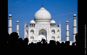 Полчища насекомых оккупировали рисунки Тадж-Махала