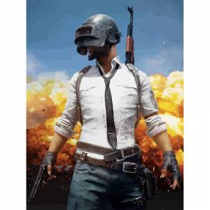 Картина по номерам на холсте PUBG