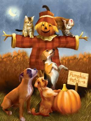 Четвероногие проказники