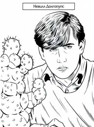 Раскраска № 4363