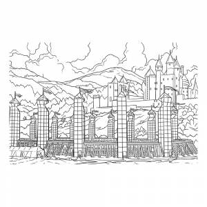 Раскраска Стадион для игры в квидич