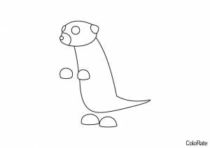 Раскраска Сурикат