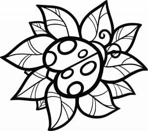 Раскраски Легкая и красивая