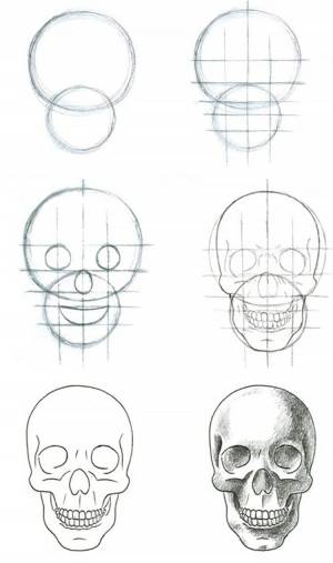 Рисунок черепа поэтапно для начинающих