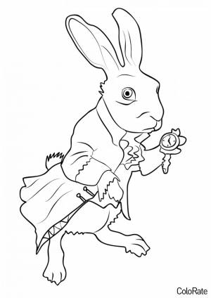 Раскраска Белый кролик Пэт
