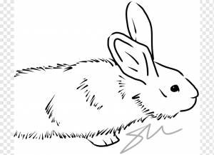 черно-белые рисунки кролика png