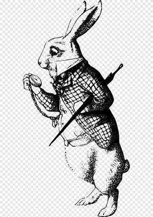 Приключения Алисы в стране чудес белого кролика Безумный Шляпник Питомник Алиса, приключения Алисы в стране чудес, png