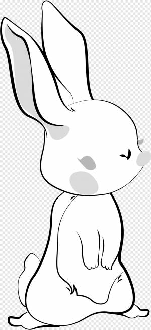 кролик черный белый контур, png