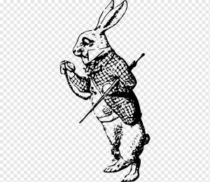 Белый кролик Приключения Алисы в стране чудес Безумный рисунок Шляпника, карманные часы Алисы в стране чудес, png