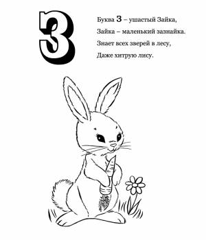 Раскраска № 3405