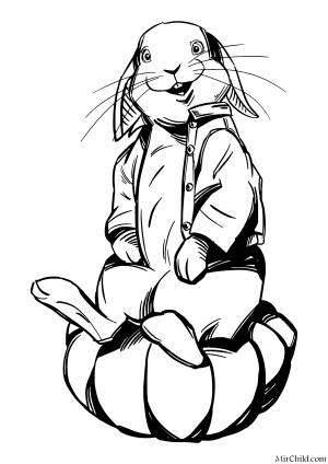 Раскраска бонзо