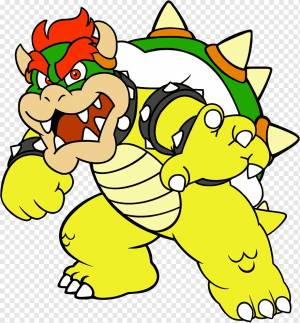 Bowser Mario Bros