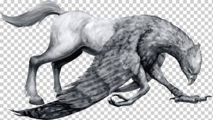 иллюстрация серого существа, Гарри Поттер Рубеус Хагрид Альбус Дамблдор Хогвартс Хедвиг, Существо, млекопитающее, кошка, как млекопитающее png