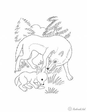 раскраска для детей, животные, волки, лес