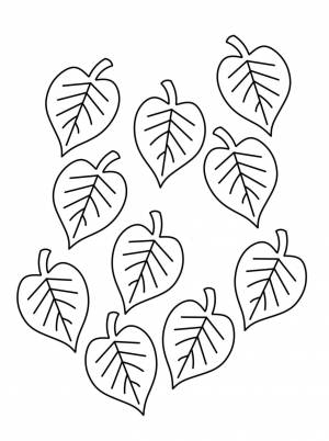 Листья раскраски шаблоны