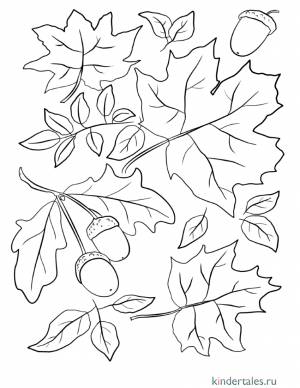 Осенние листья и желуди» раскраска для детей