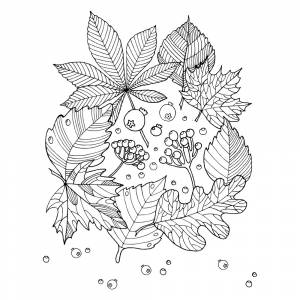 Раскраска Осенние листья арт-терапия