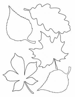Раскраска Разные осенние листья