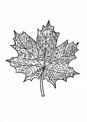 Раскраски кленовых листьев