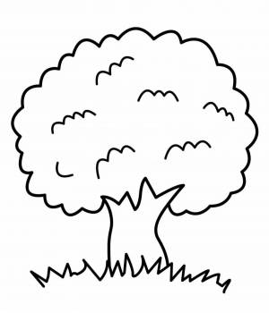 Раскраски Дерево для детей 3 4 лет