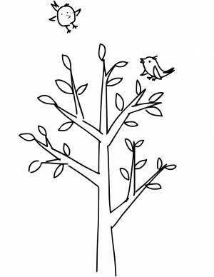 Раскраска «Дерево»