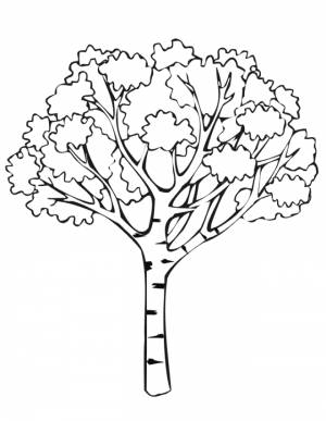 Pаскраска дерево 154671