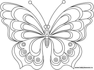 раскраски бабочка