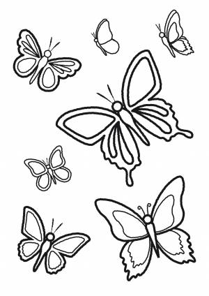 Раскраски насекомые, Раскраска Разные бабочки Насекомые