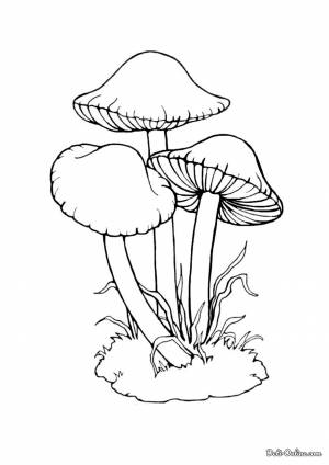 Раскраска Несъедобные грибы